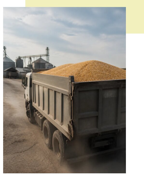 Перевозка сельхозпродукции навалом в Слободскую по цене от 3092 р. | Агросервис-Слб